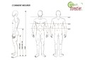 Tableau des tailles vêtements SIP